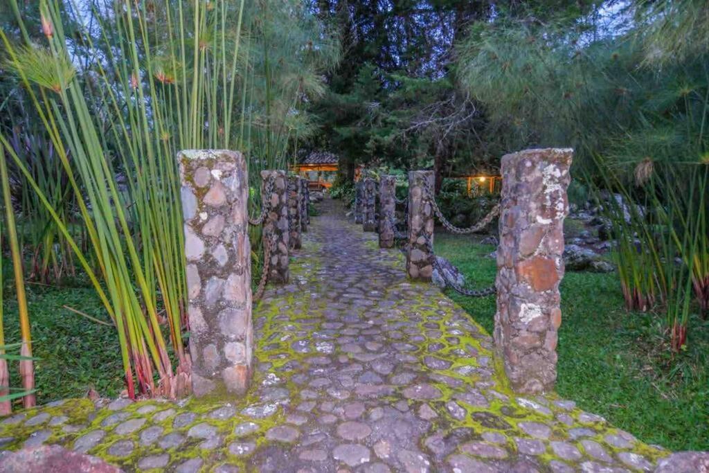 Finca Punta De Piedra Salento, Quindio别墅 外观 照片