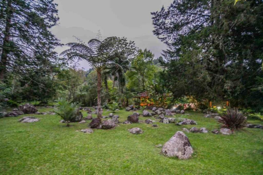 Finca Punta De Piedra Salento, Quindio别墅 外观 照片