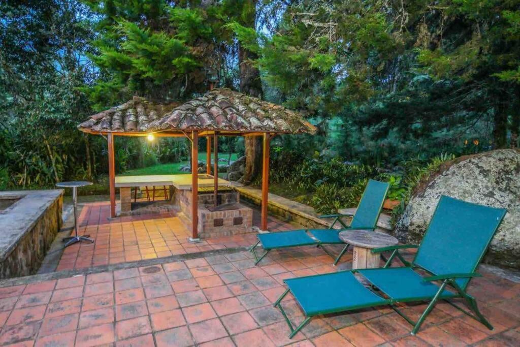 Finca Punta De Piedra Salento, Quindio别墅 外观 照片