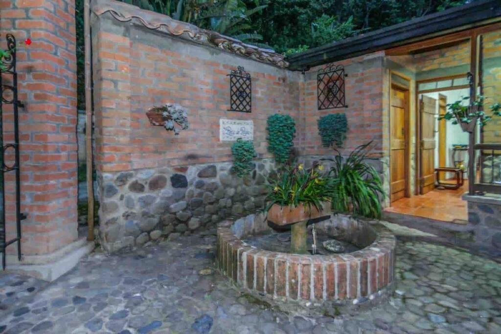 Finca Punta De Piedra Salento, Quindio别墅 外观 照片