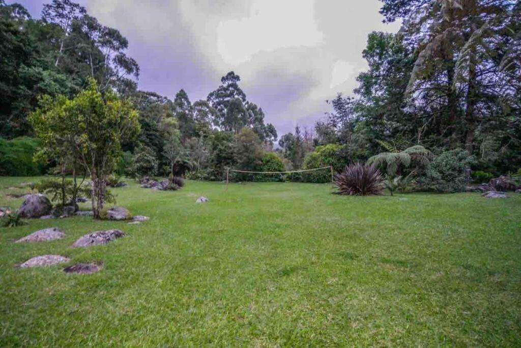 Finca Punta De Piedra Salento, Quindio别墅 外观 照片