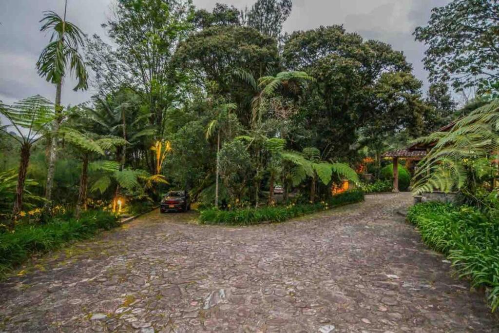 Finca Punta De Piedra Salento, Quindio别墅 外观 照片